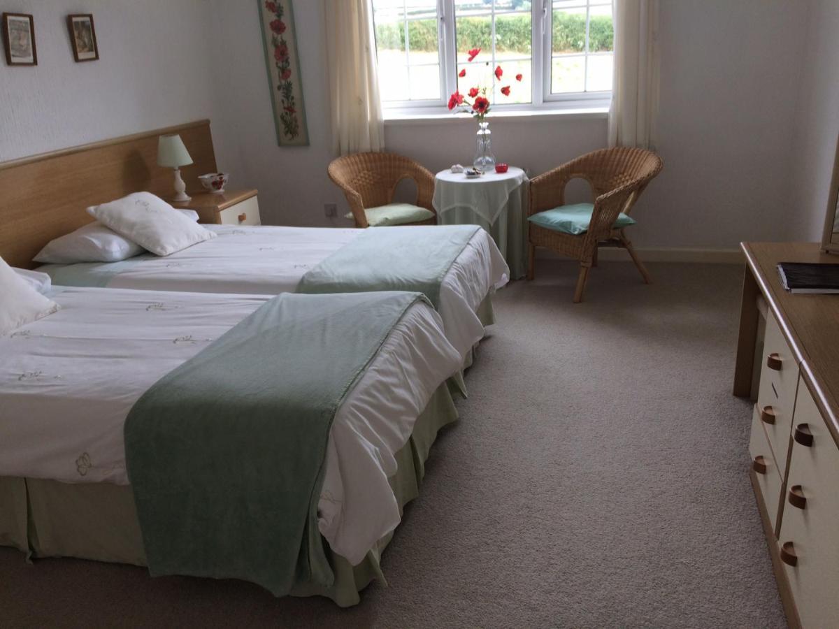 The Grange Accommodation, Waye Farm, Ermington, Devon Holbeton Екстер'єр фото